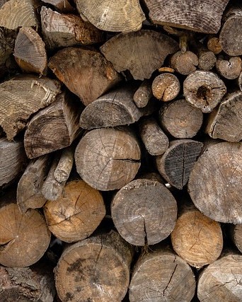 firewood for delivery